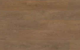 Ламинат Tarkett Woodstock Дуб шервуд медовый/Honey Sherwood oak