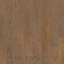 Ламинат Tarkett Woodstock Family Дуб Шервуд медовый