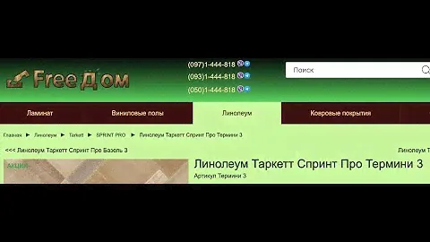 Спринт Про Термини 3