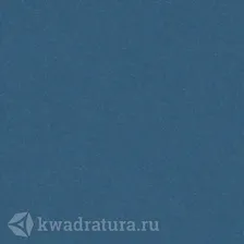Линолеум Tarkett (Accent Pro) Aspect 11