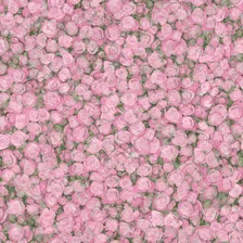 Линолеум бытовой Tarkett Fleur Rose 2, 3,0x25 м