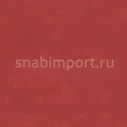 Транспортный линолеум для речного транспорта Tarkett Horizon Depot 001 Красный