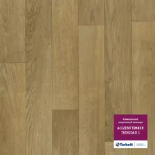 Линолеум коммерческий ACCZENT TIMBER TRINIDAD-1 3,0м/2,0мм Tarkett
