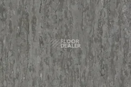 Линолеум TARKETT iQ Optima BEIGE GREY 0874