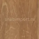 Коммерческий линолеум Tarkett Acczent Pro Oak 01