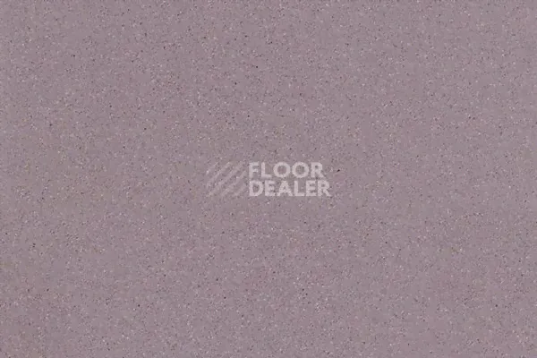 Линолеум Tarkett Acczent Universal Concrete Grey-0