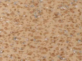 Линолеум Tarkett Acczent Mineral AS «Антистатический 011»