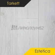 Ламинат - ESTETICA 9/33 4V / Tarkett Ламинат 9/33 4V - ESTETICA / ДУБ ДАНВИЛЬ БЕЛЫЙ 5040 от Tarkett