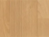 Линолеум Tarkett Acczent PRO Timber «Бич 1»