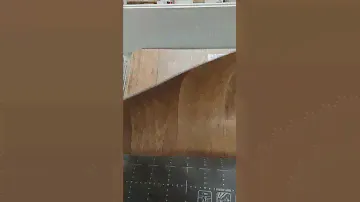 Линолеум Tarkett Sprint Pro