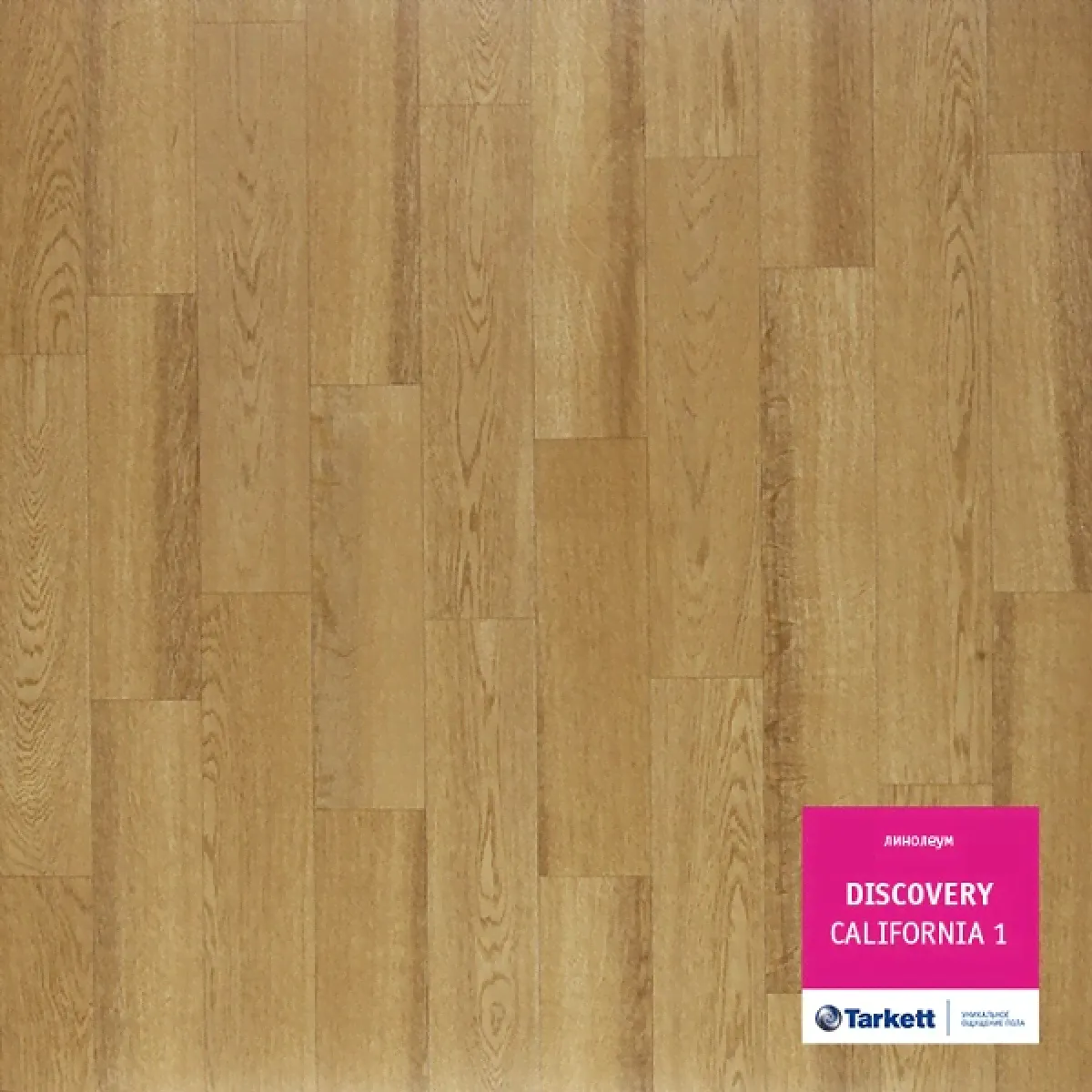 Tarkett Discovery California 1 Ширина 2,5м
