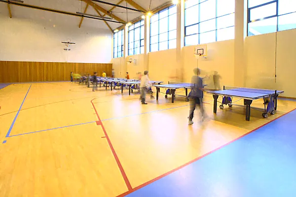Спортивный линолеум Tarkett (Таркетт) Omnisports Reference